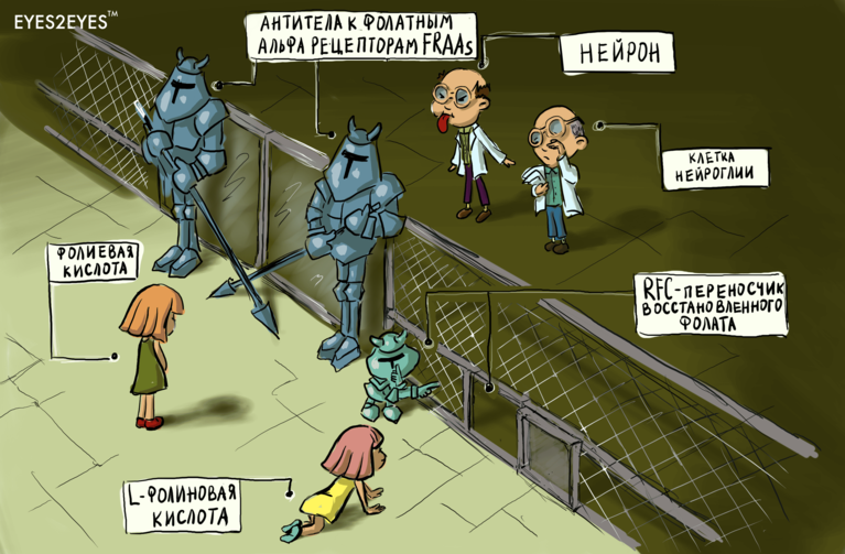 Фолаты и РАС