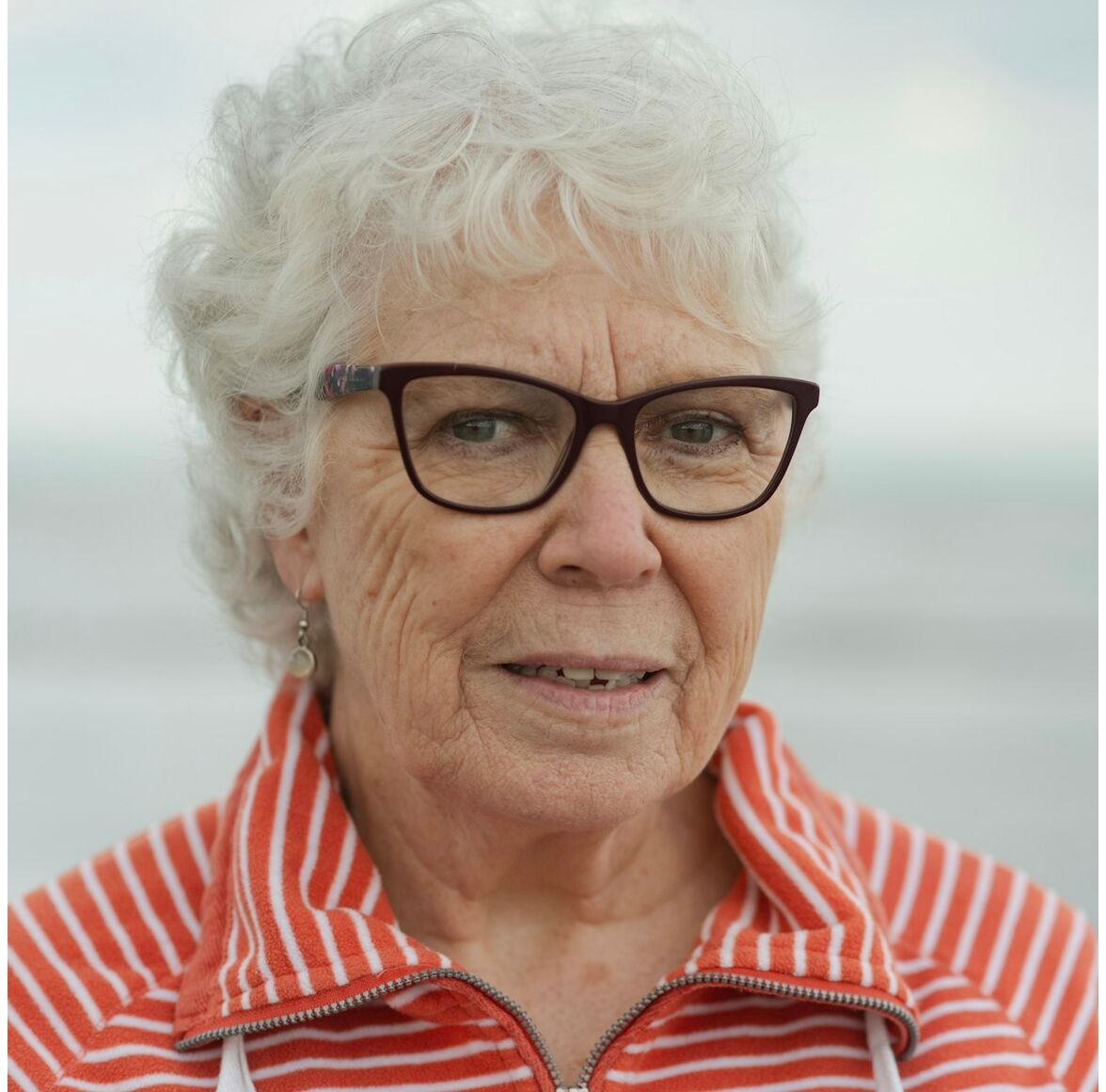 Alzheimer Precocity Screening Test